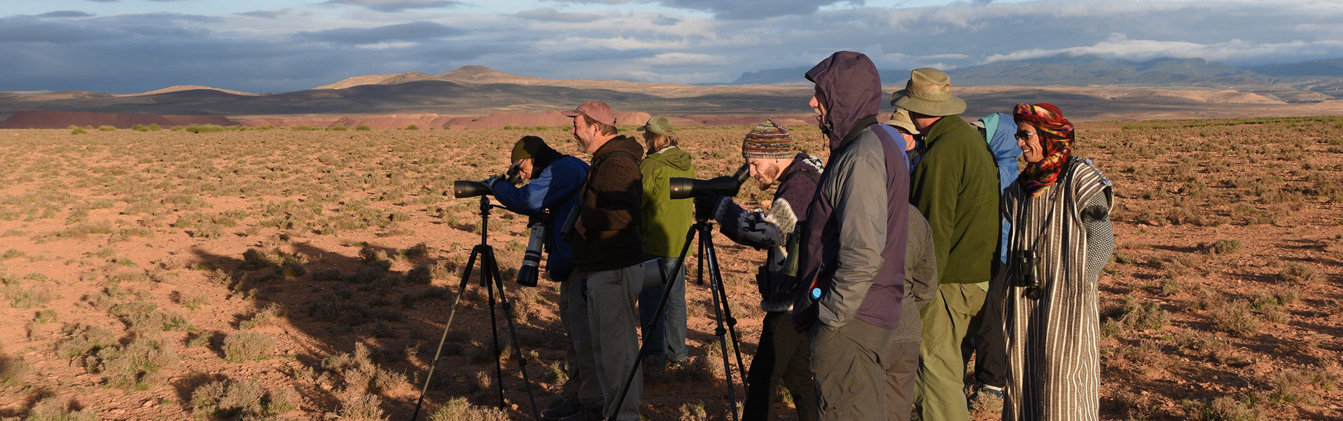 Sterling Birds Tour in Morocco (photo credit: Dan Brown, all rights reserved)